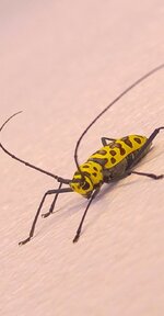 20170113_164336,a.jpg