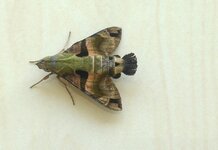 20170118_133124.a.jpg