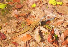 20170118_145150.a.jpg