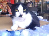 20170115_164642,a.jpg