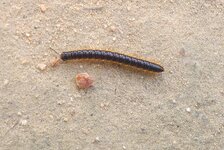 20170123_113354.a.jpg