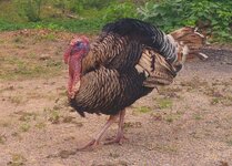 20170123_174115.a.jpg