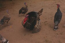 20170123_174207.a.jpg