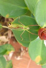 20170119_163632.a.jpg
