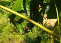 20170124_140706.a.jpg