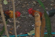 20170115_145812.a.jpg