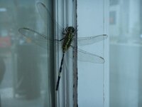 DSCN3760.JPG