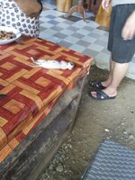 IMG-20170107-WA0047.jpg IMG-20170107-WA0047.jpg