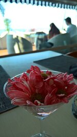 WP_20170211_14_54_54_Rich.jpg