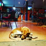 IMG_20170216_041419_648.jpg
