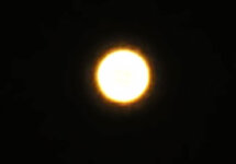 28349879ou.jpg