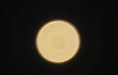 28349874qm.jpg