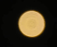 28349875jd.jpg