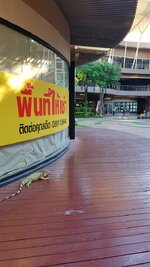 20170221_161855.jpg