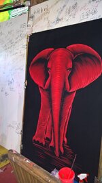 WP_20170216_17_23_13_Rich.jpg