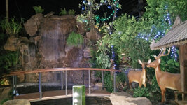 IMG20170228185606.jpg