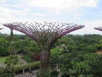 IMG_9940.JPG IMG_9940.JPG