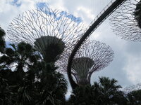 IMG_9929.JPG IMG_9929.JPG