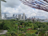 IMG_9982.JPG IMG_9982.JPG