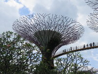 IMG_9921.JPG IMG_9921.JPG