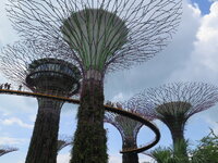 IMG_9923.JPG IMG_9923.JPG