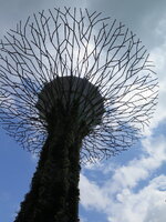 IMG_0063.JPG IMG_0063.JPG