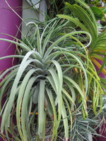 IMG_0061.JPG IMG_0061.JPG