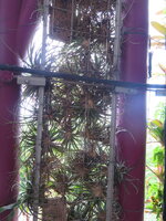 IMG_0062.JPG IMG_0062.JPG