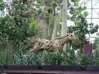 IMG_0068.JPG IMG_0068.JPG