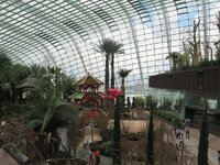 IMG_0069.JPG IMG_0069.JPG