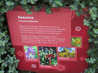 IMG_0085.JPG IMG_0085.JPG