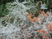 IMG_0074.JPG IMG_0074.JPG