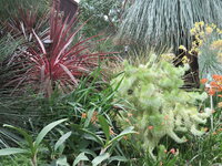 IMG_0091.JPG IMG_0091.JPG