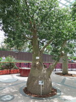 IMG_0075.JPG IMG_0075.JPG