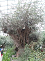 IMG_0112.JPG IMG_0112.JPG