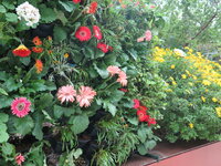 IMG_0110.JPG IMG_0110.JPG