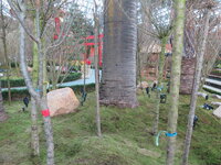 IMG_0169.JPG IMG_0169.JPG