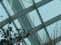 IMG_0217.JPG IMG_0217.JPG