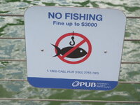 IMG_0352 2.JPG IMG_0352 2.JPG