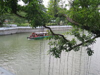 IMG_0499.JPG IMG_0499.JPG