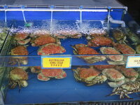 IMG_6462.JPG IMG_6462.JPG