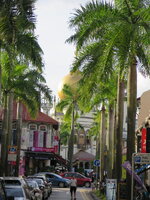 IMG_6543.JPG IMG_6543.JPG