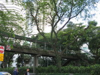 IMG_6542.JPG IMG_6542.JPG