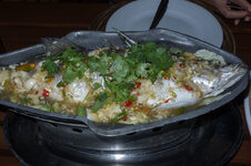 DSC07327.jpg