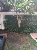 IMG_0893.JPG