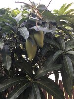 IMG_0894.JPG