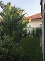 IMG_0896.JPG