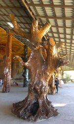 IMAG0187.jpg IMAG0187.jpg