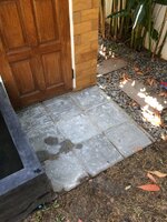 IMG_2887.JPG