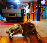 IMG_20170307_074121_126.jpg